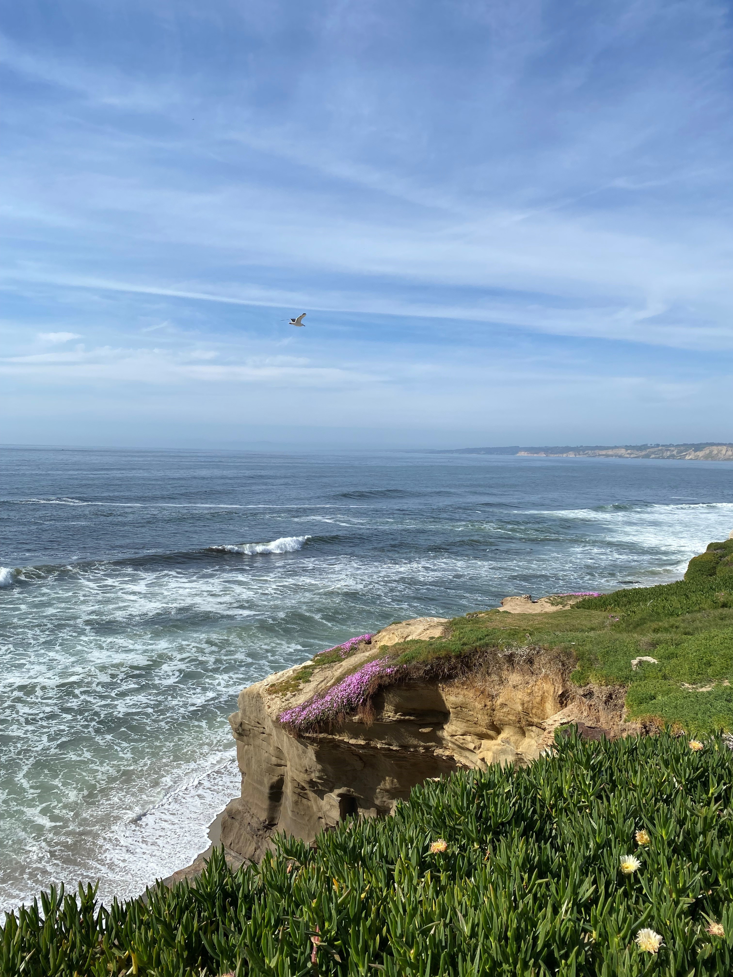 Sun, Sand, and Unique Adventures: Family-Friendly Vacation Destinations